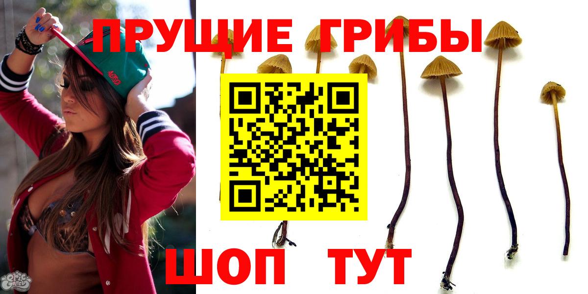 Псилоцибиновые грибы Psilocybine cubensis Воронеж