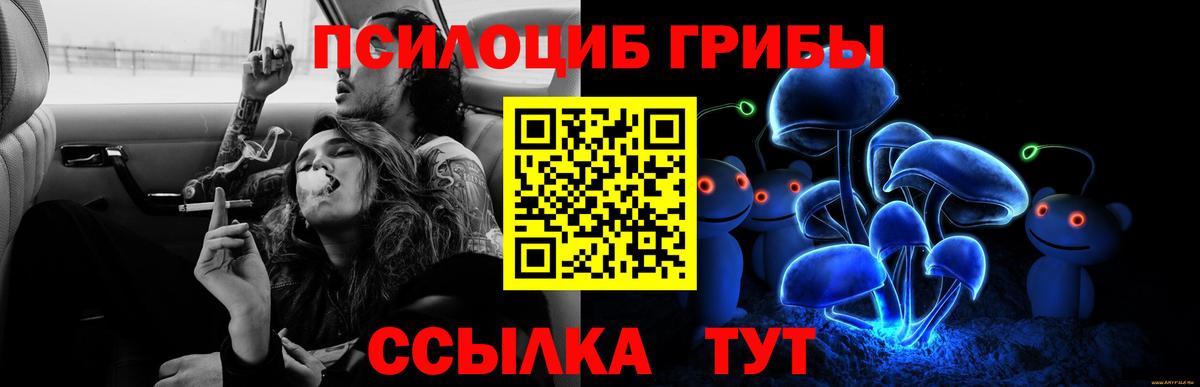 Псилоцибиновые грибы мухоморы  Галлюциногенные грибы мицелий  Воронеж  Вход с VPN 